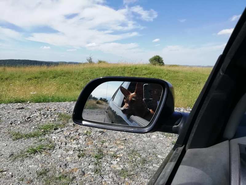 Spieglein, Spieglein an der&nbsp;Wand…